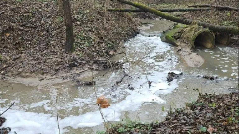 Пена в Туровке. Фото: Телеграм-канал «uprimskiy1». https://t.me/uprimskiy1/5410