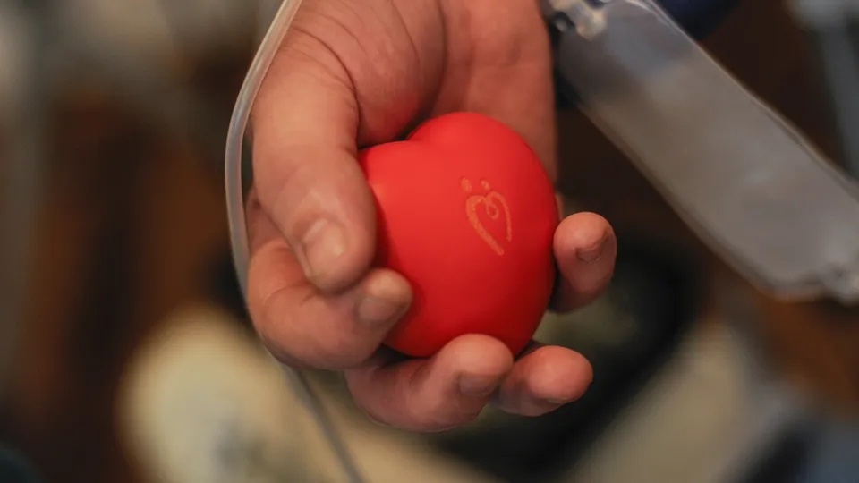 Фото: Медиаархив Подмосковья