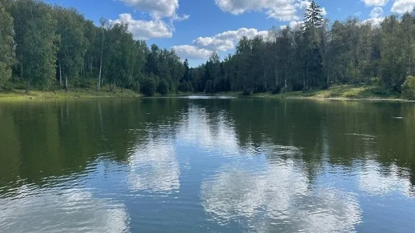Источник: пресс-служба министерства экологии и природопользования Московской области