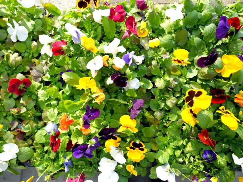 Фото: МедиаБанк Подмосковья/Дмитрий Зайчиков