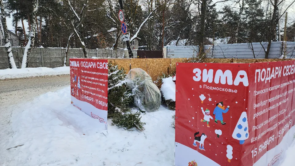 Фото: МедиаБанк Подмосковья/Роман Савельев