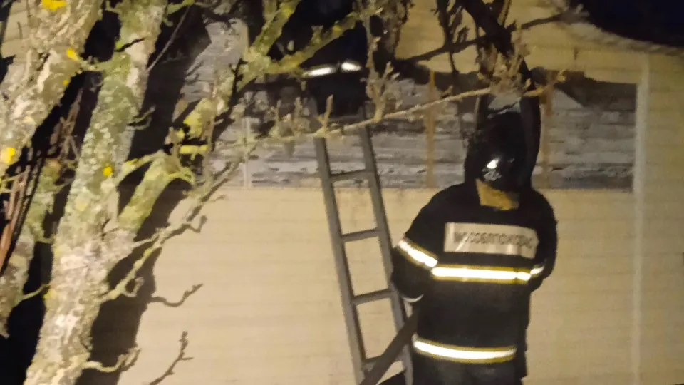 Фото: ГКУ МО «Мособлпожспас»