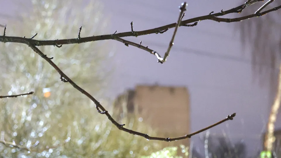 Фото: REGIONS/Ольга Пятикрестовская