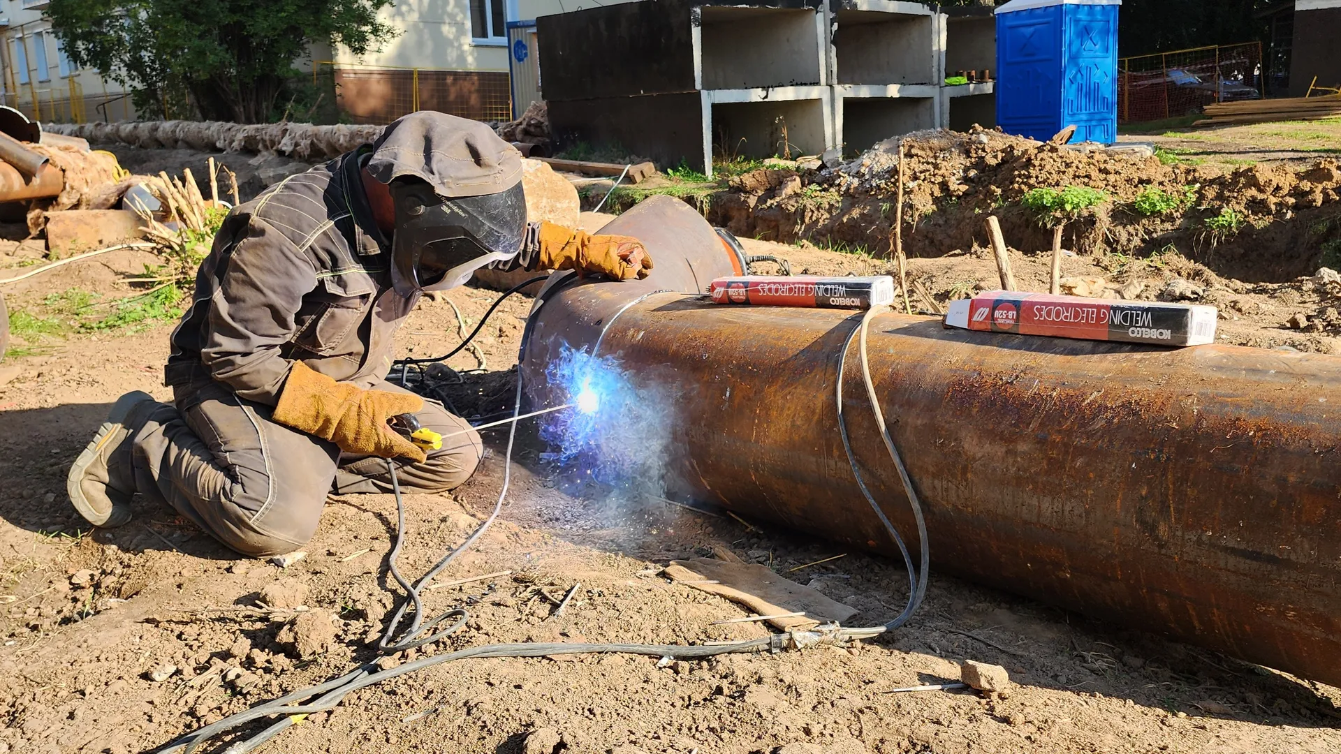 Фото: Медиабанк Подмосковья/Иван Дубров