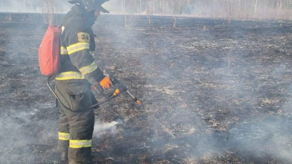 Фото: ГКУ МО «Мособлпожспас»