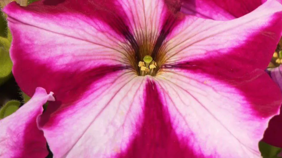 Фото: телеканал «Дубна»