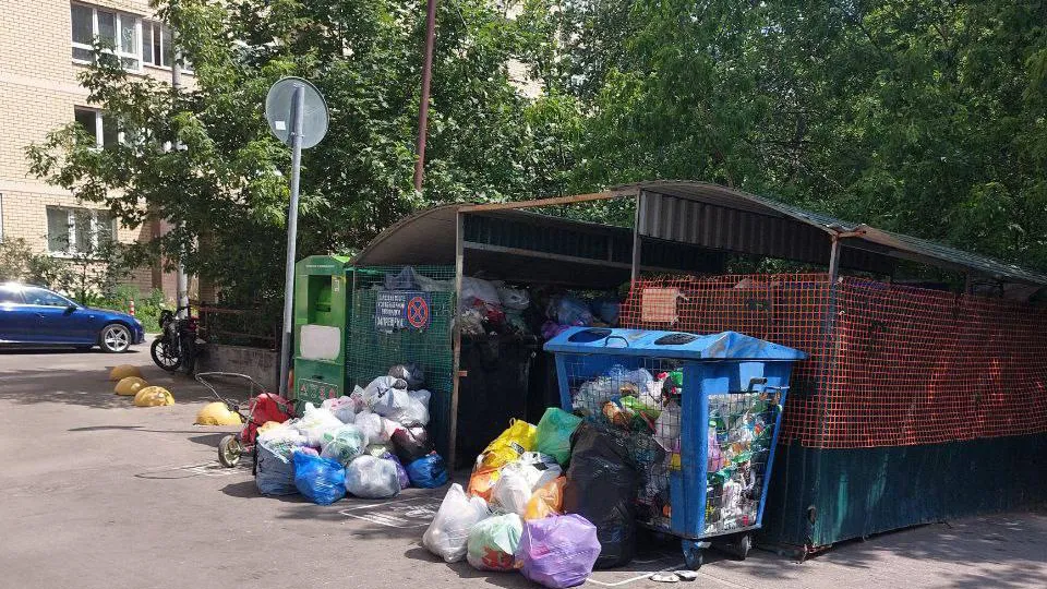 Фото: соцсети