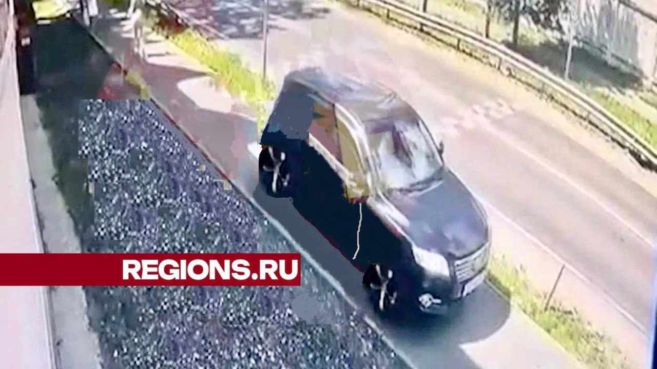 Фото: t.me/balashikha_life