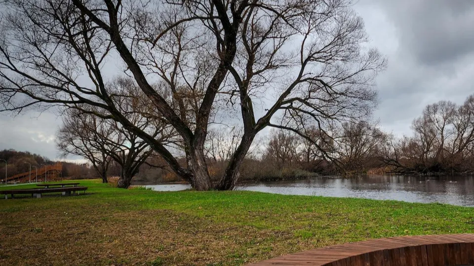 Фото: МедиаБанк Подмосковья/Ольга Антонова