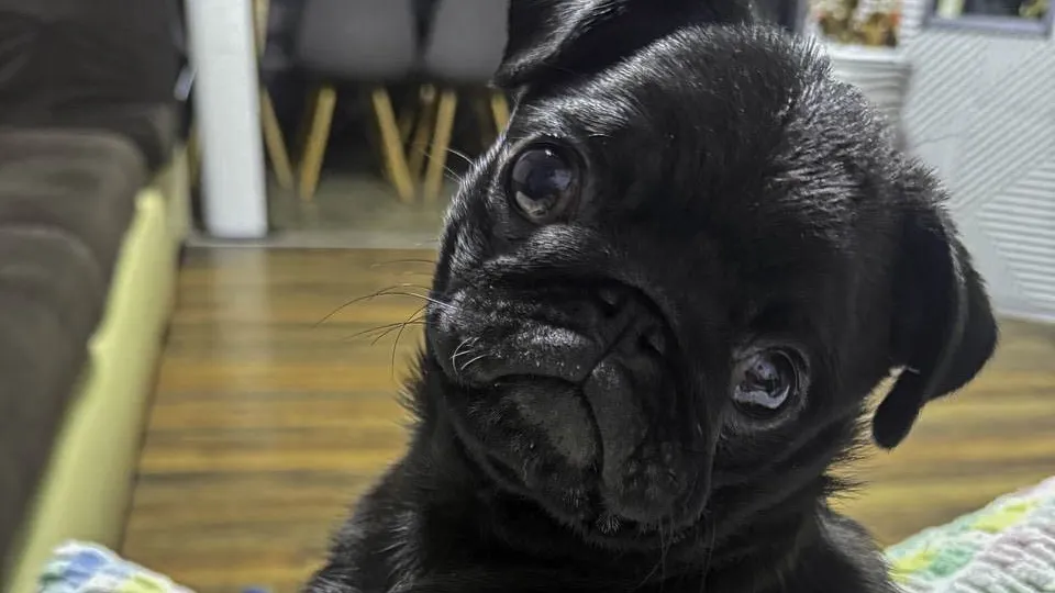 Фото: REGIONS/Анастасия Малышенко