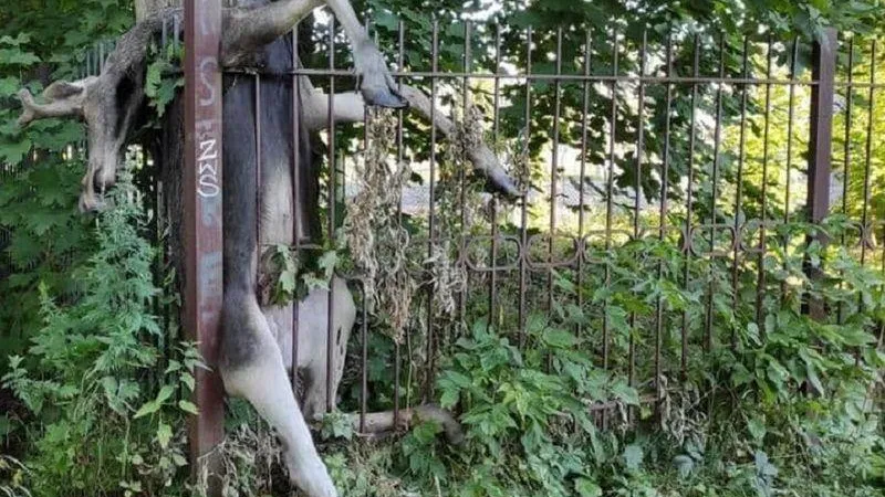 Минэкологии МО