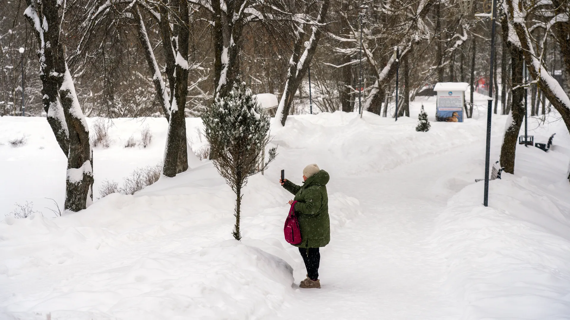 медиасток.рф