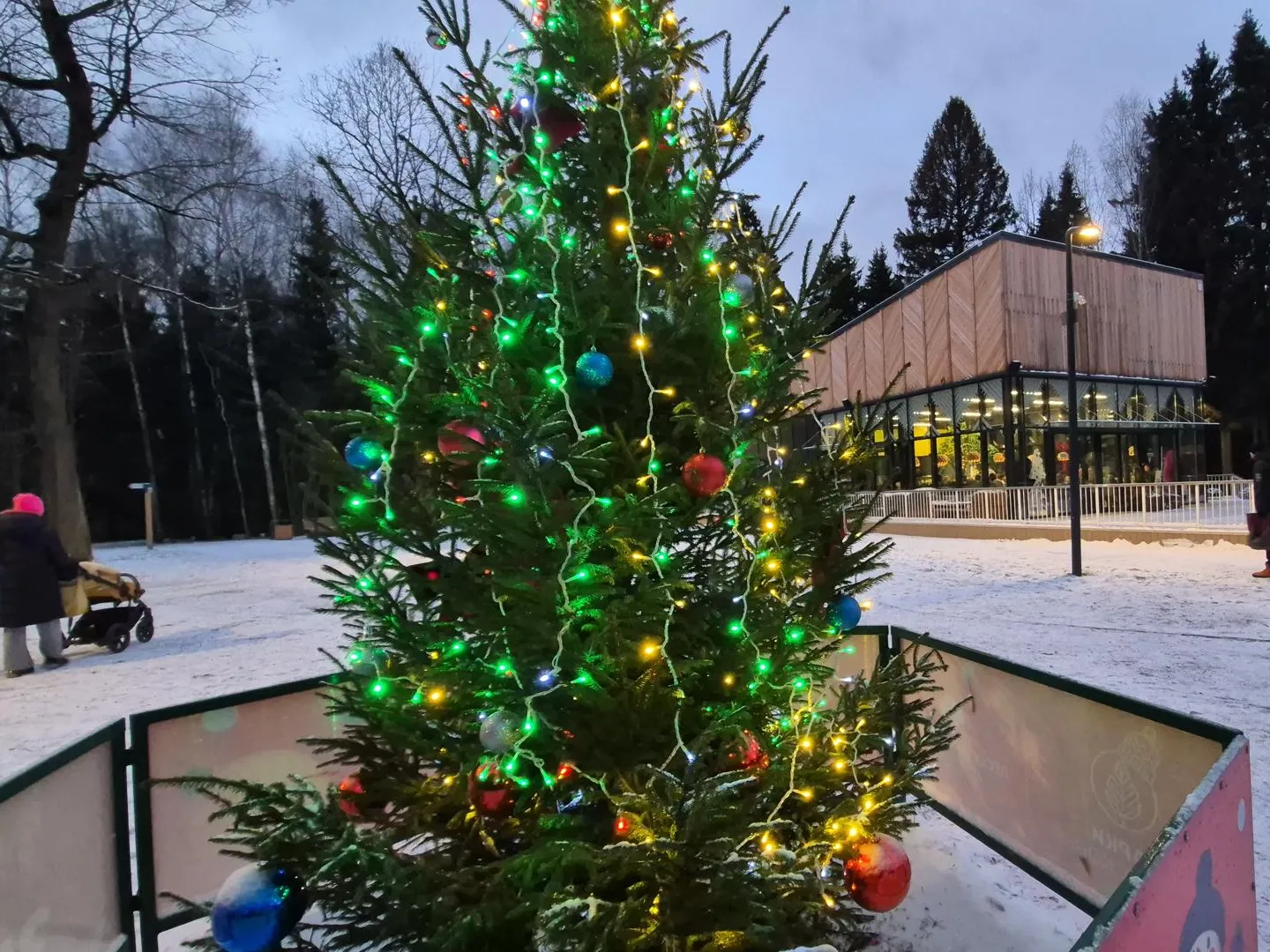 Фото: Анастасия Игнатова&nbsp;&nbsp;