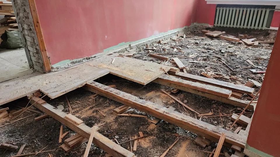 Фото: REGIONS/Ольга Аввакумова