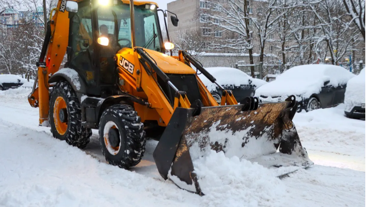 Фото: Антон Чернов