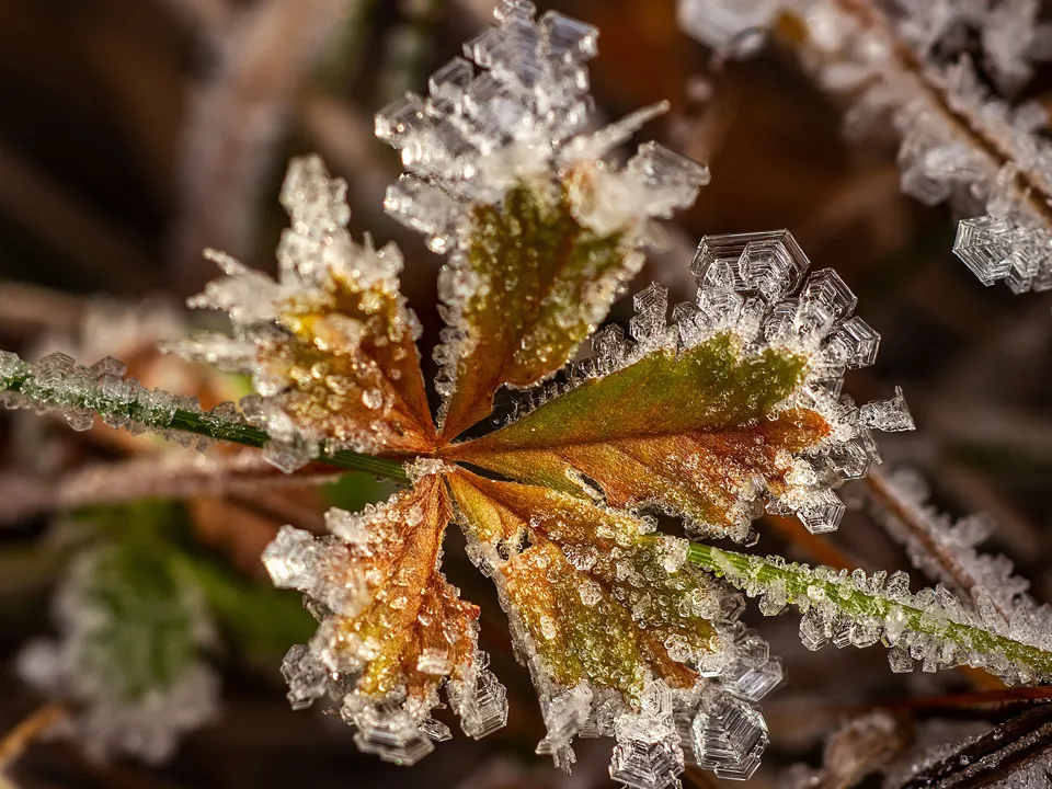 Фото: Антон Кондратюк