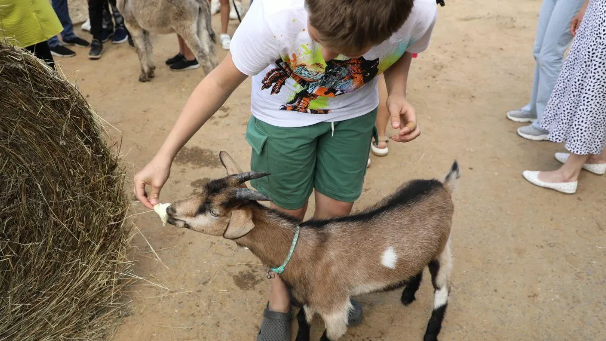 Фото: пресс-служба администрации Наро-Фоминского г.о.