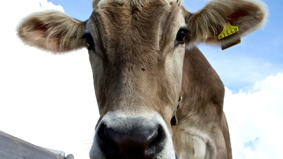 Фото: pxhere.com