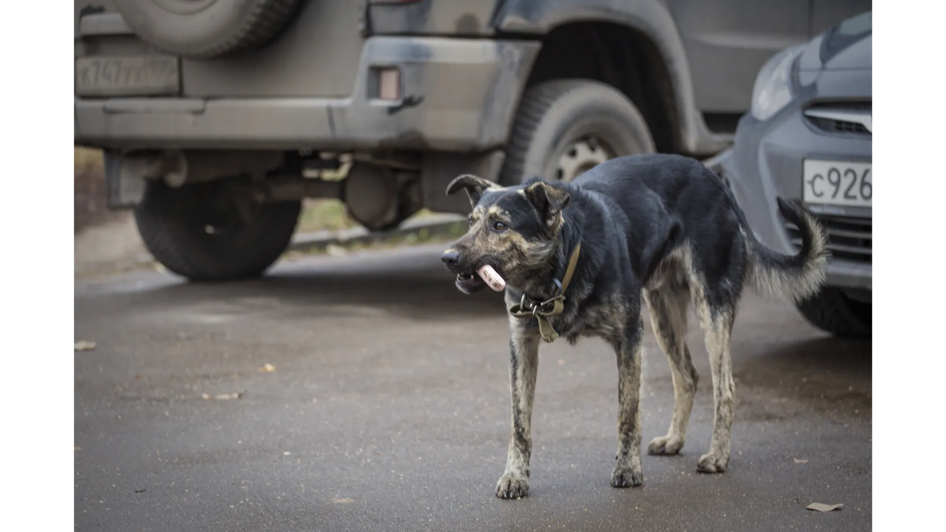 Фото: Павел Попов