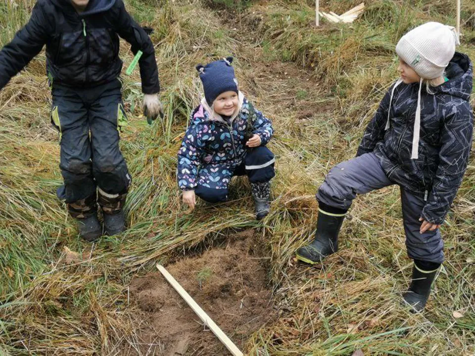 Фото: Комитет лесного хозяйства Московской области