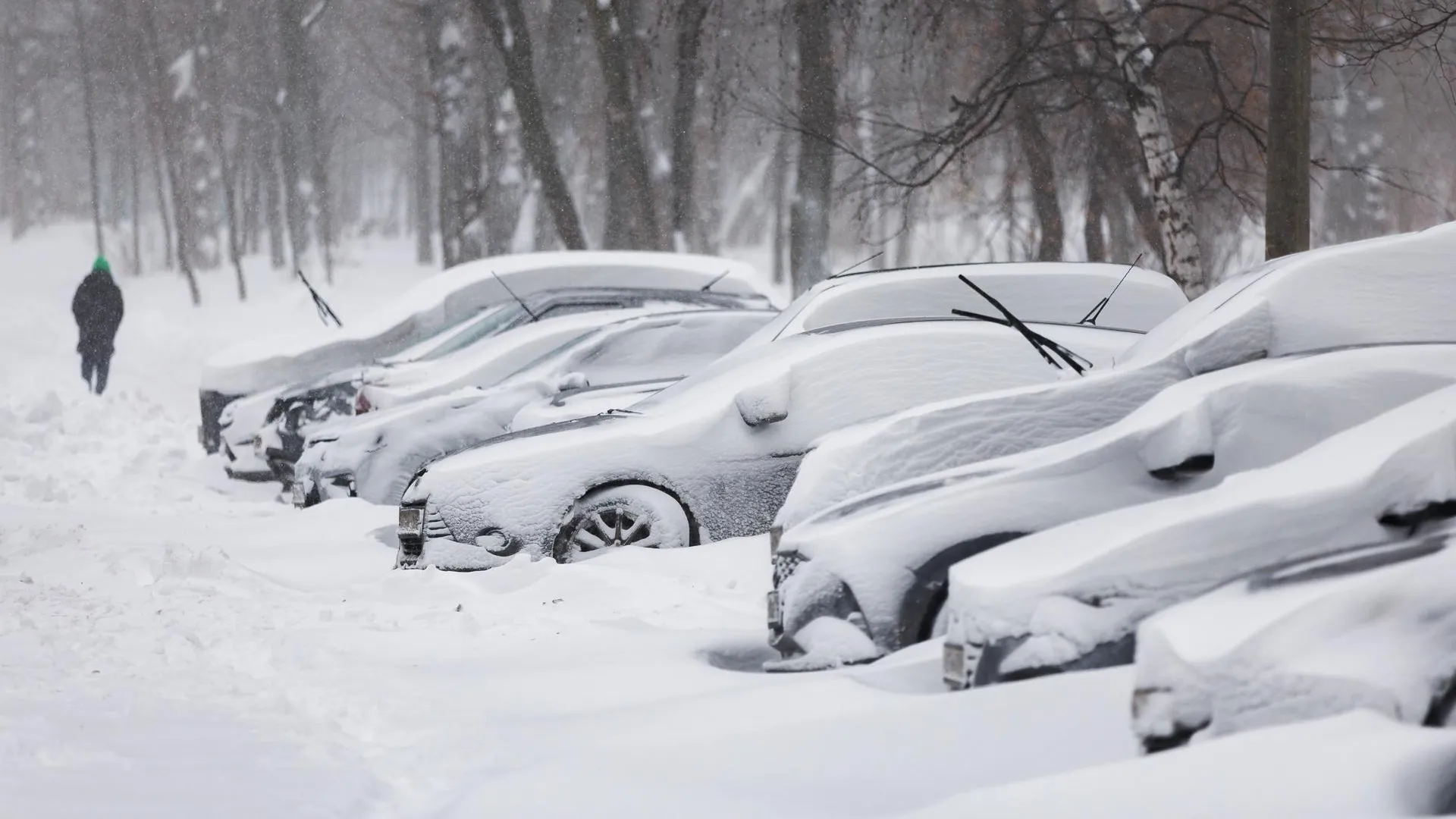 Jacek Sopotnicki/imageBROKER.com