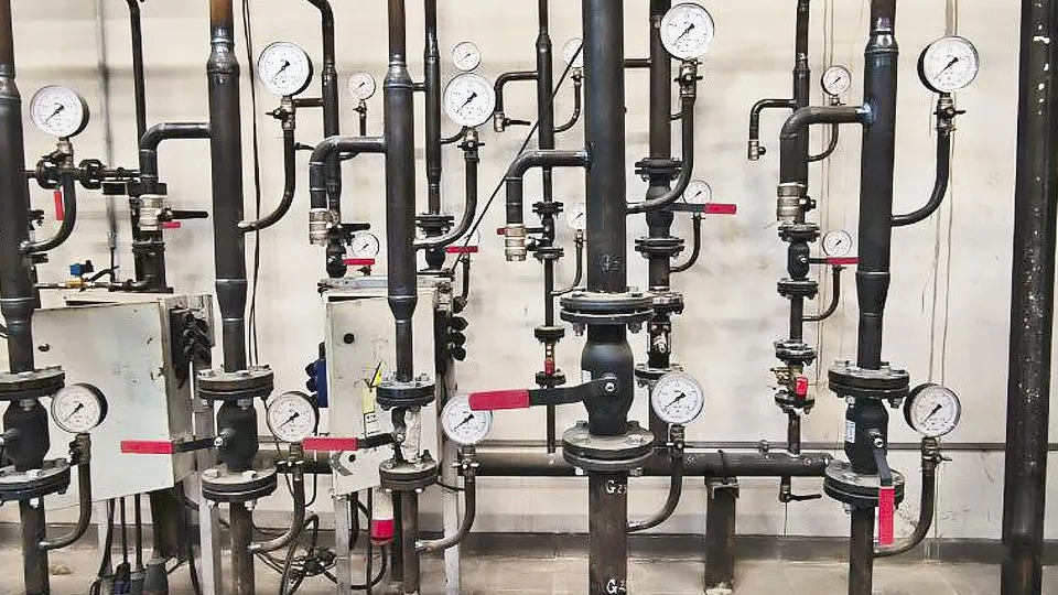 Фото: Роман Малышенко