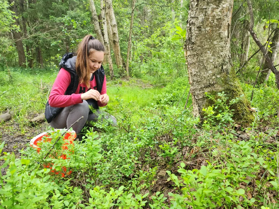 Фото: МедиаБанк Подмосковья/Екатерина Мелкозерова