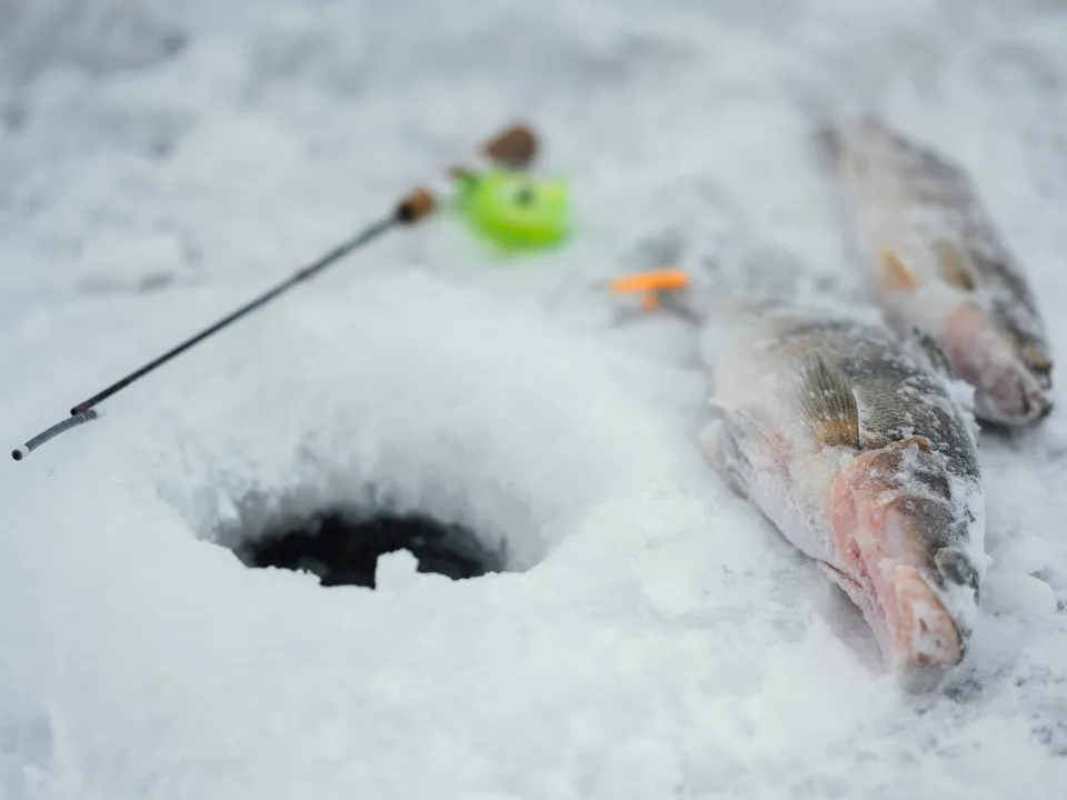 Фото: freepik.com