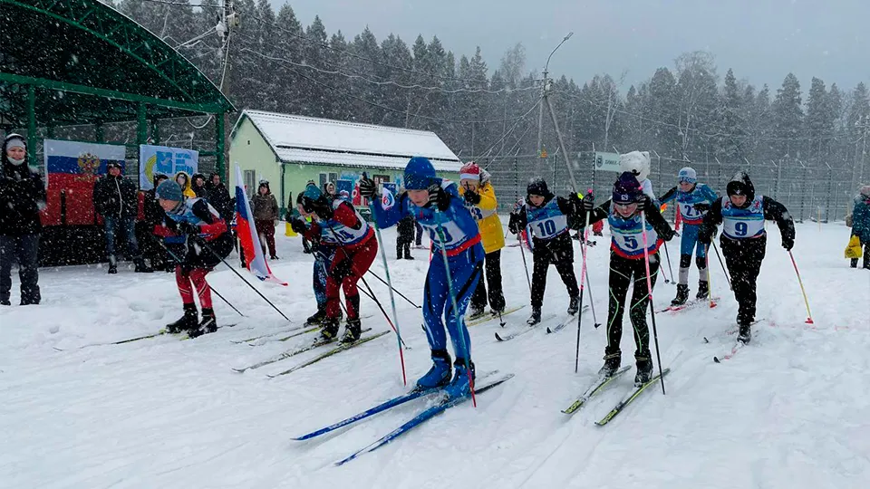 Фото: пресс-служба администрации г.о. Химки