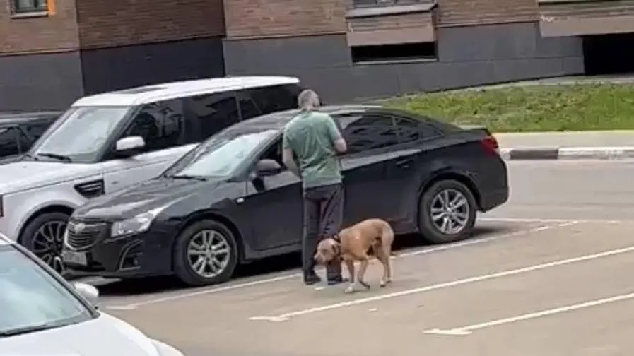 фото очевидев, размещено на канале «Рай и МКАД | Подмосковье» в телеграм