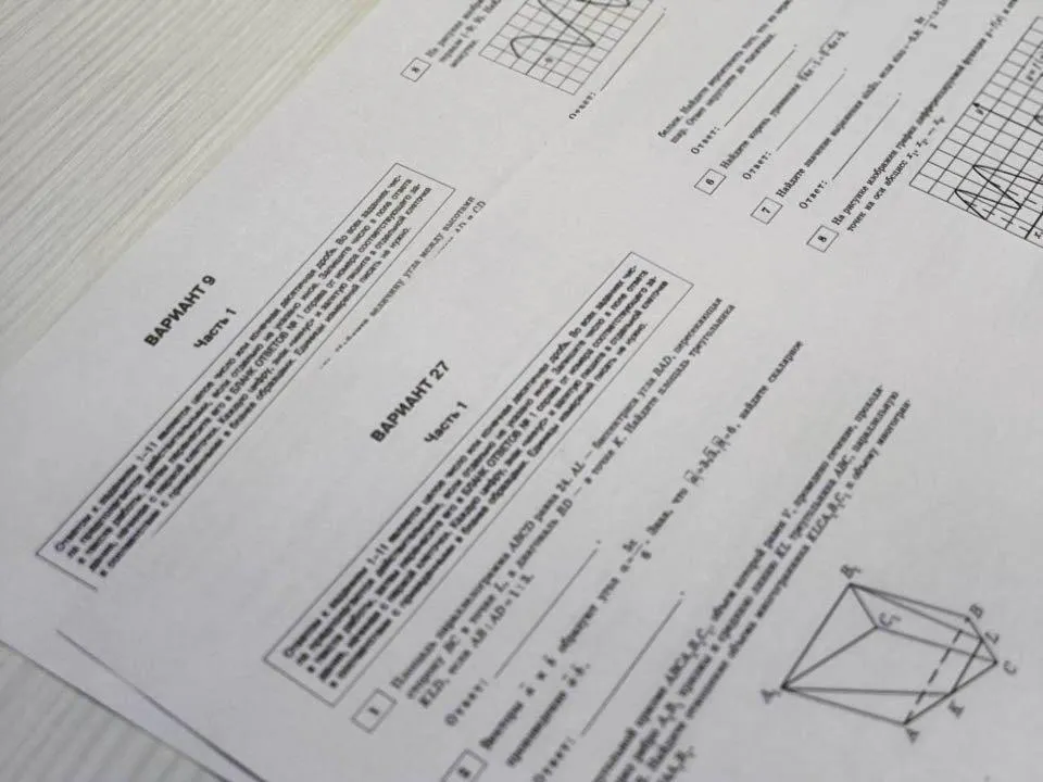 REGIONS/Дарина Левкина