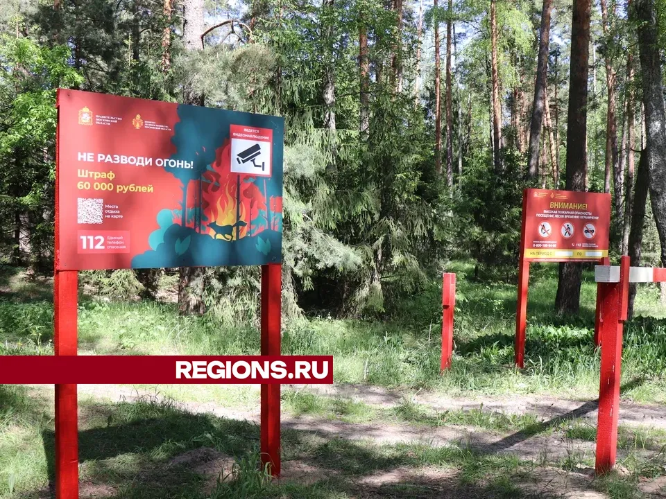 Фото: Василий Тремасов /&nbsp;Regions