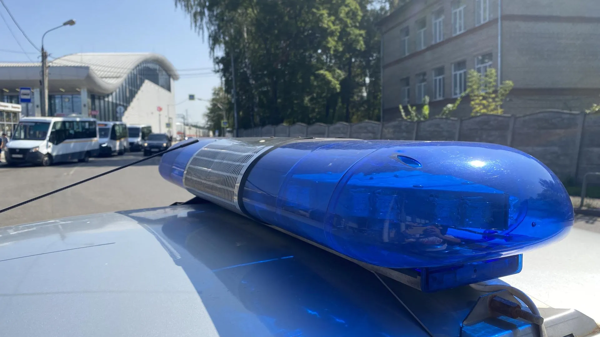 Фото: Михаил Волков