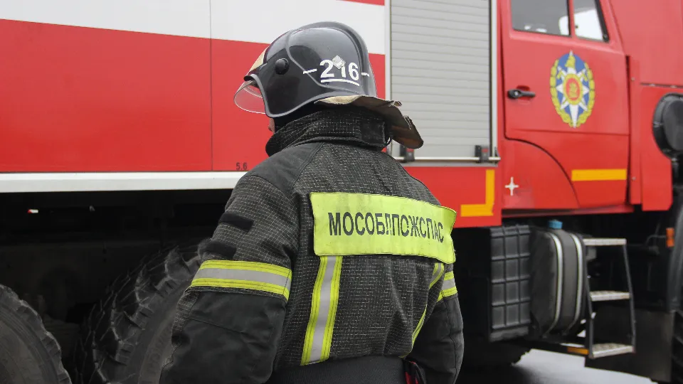 Фото: REGIONS/Василий Тремасов