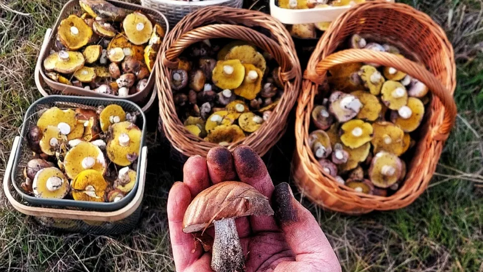 Фото: Василий Потапов