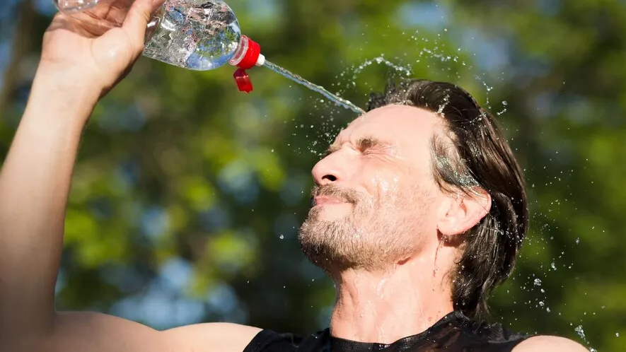 Фото: freepik.com