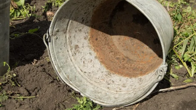 Фото: ru.freepik.com