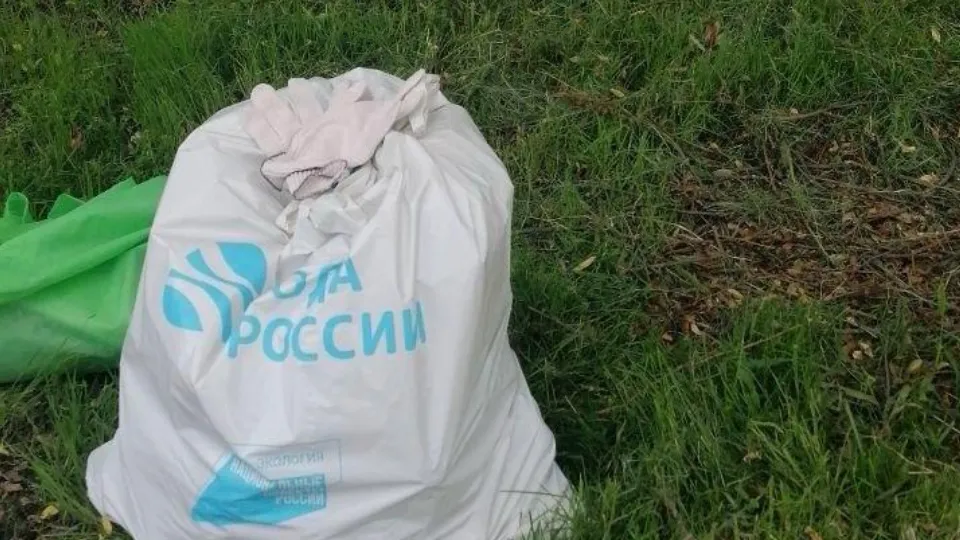 Фото: пресс-служба администрации Можайского городского округа