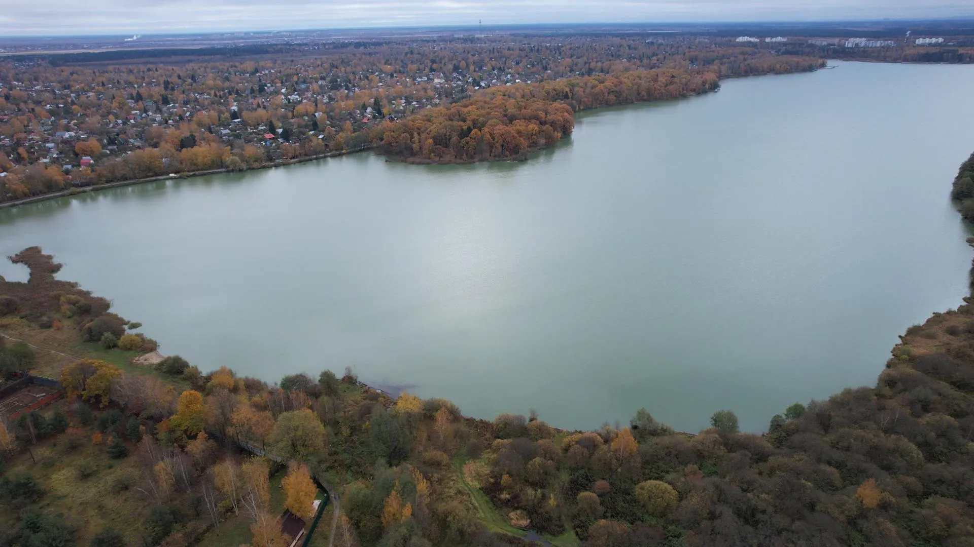 Ксения Борцова