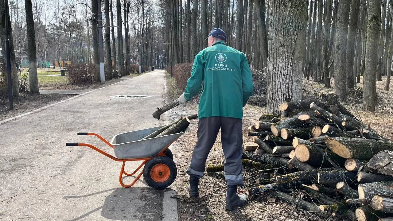 В Минблаго Подмосковья рассказали о подготовке парков к летнему сезону