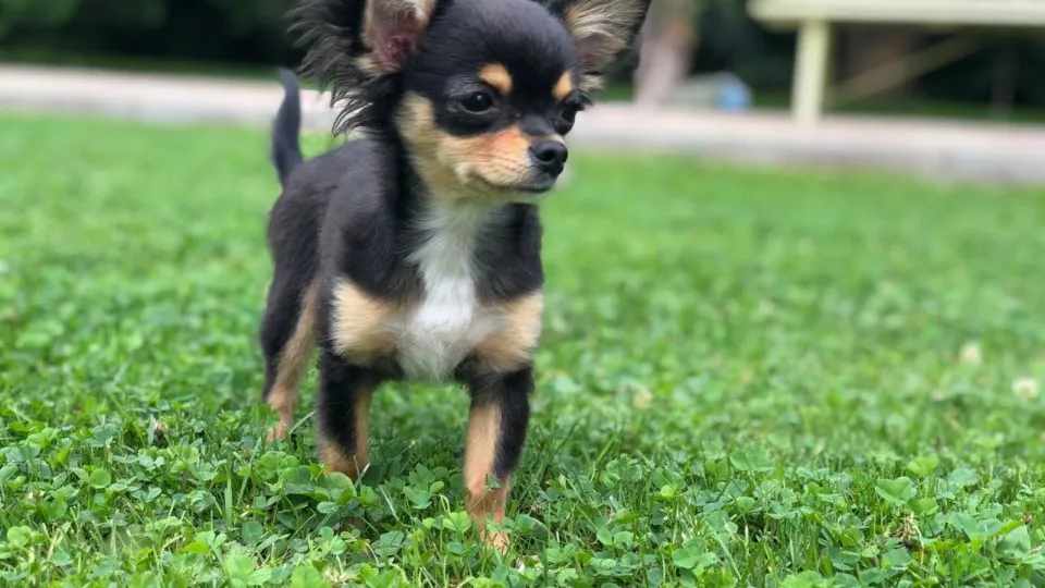 Фото: REGIONS/Илья Попов