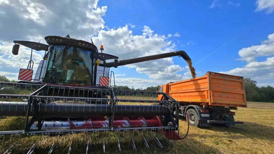 Фото: REGIONS/Яна Шаливская