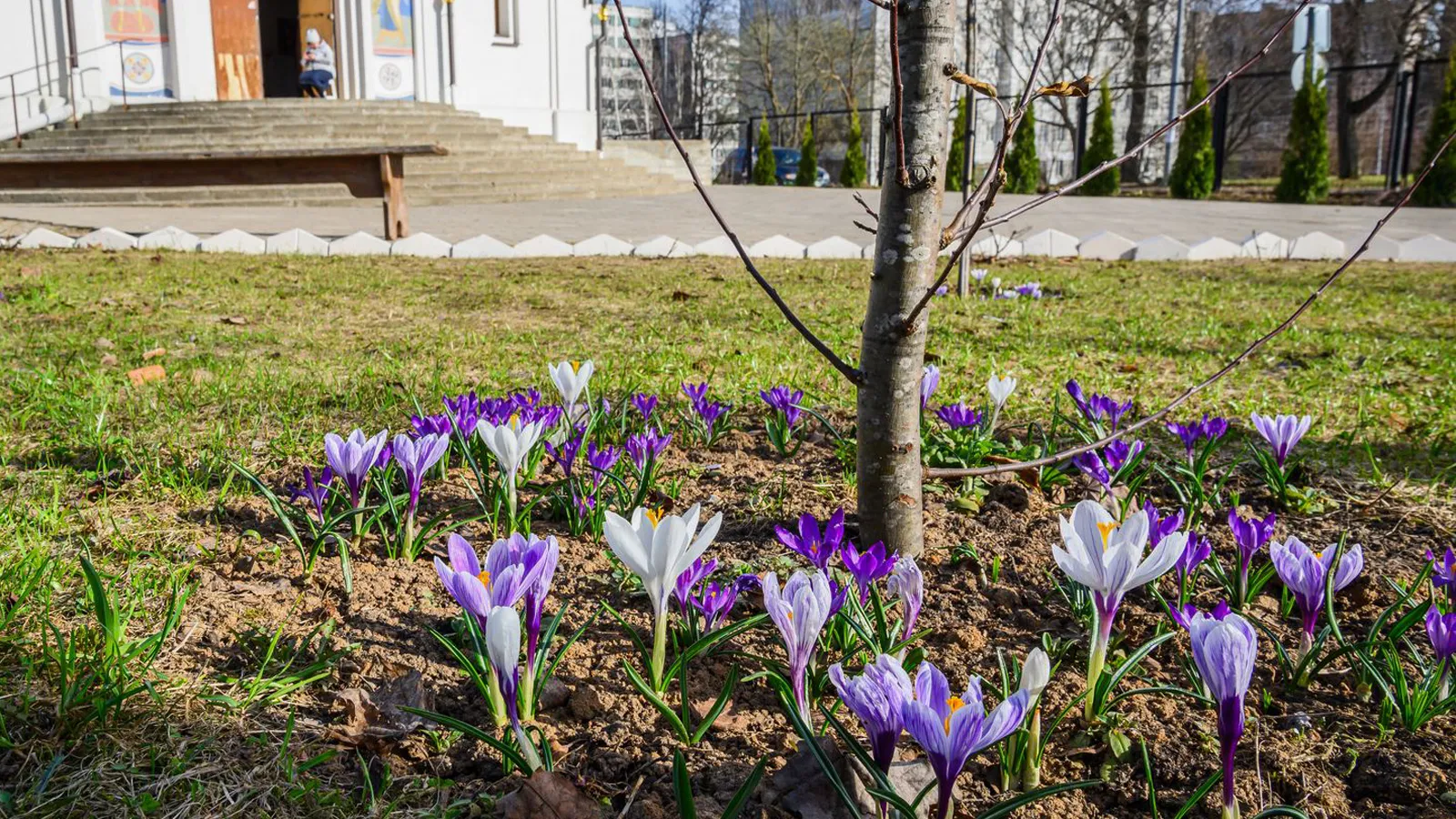 Фото: медиасток.рф