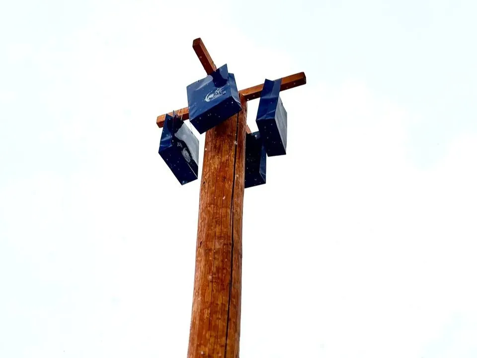 Фото: МБУК «Городской парк культуры и отдыха»