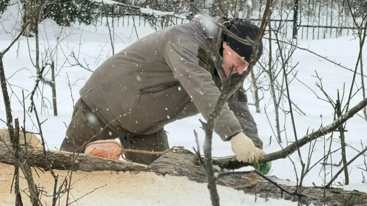 пресс-служба нацпарка "Лосиный остров"