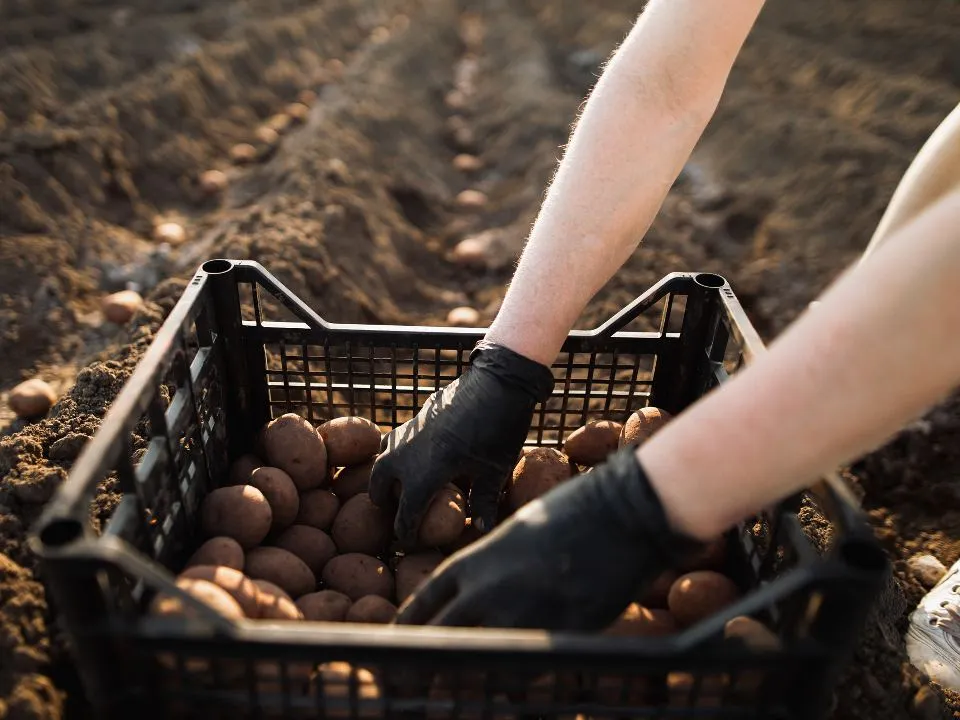 Фото: istockphoto.com