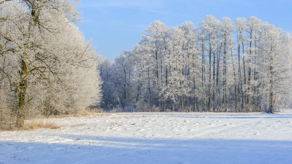 istockphoto.com/Piotr Krzeslak