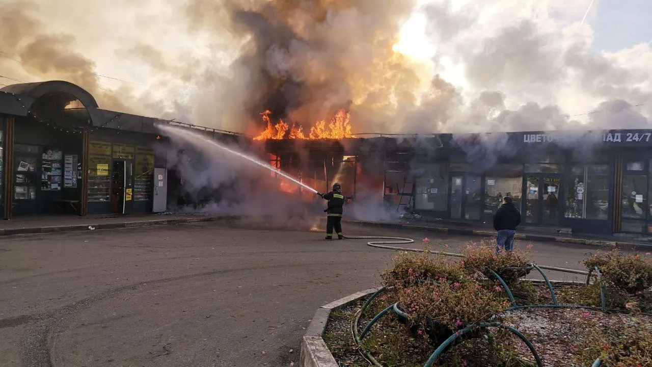 Фото: социальные сети