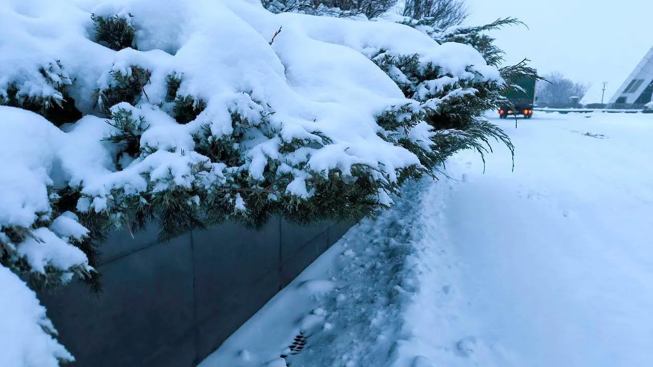 REGIONS/Роман Малышенко