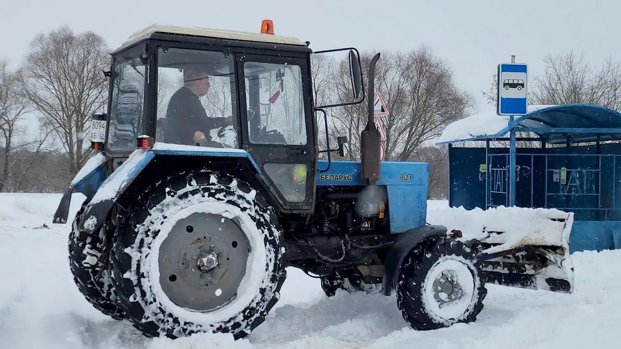 МедиаБанк Подмосковья/Анна Шолохова